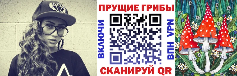 Псилоцибиновые грибы Psilocybe купить наркотики сайты Лангепас
